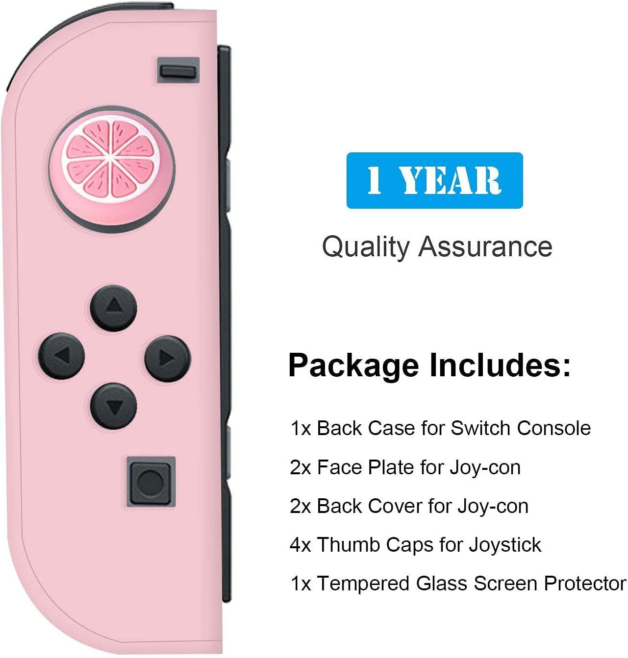 Nintendo Switch Protector Case